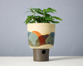 Landscape - Bowl - Medium