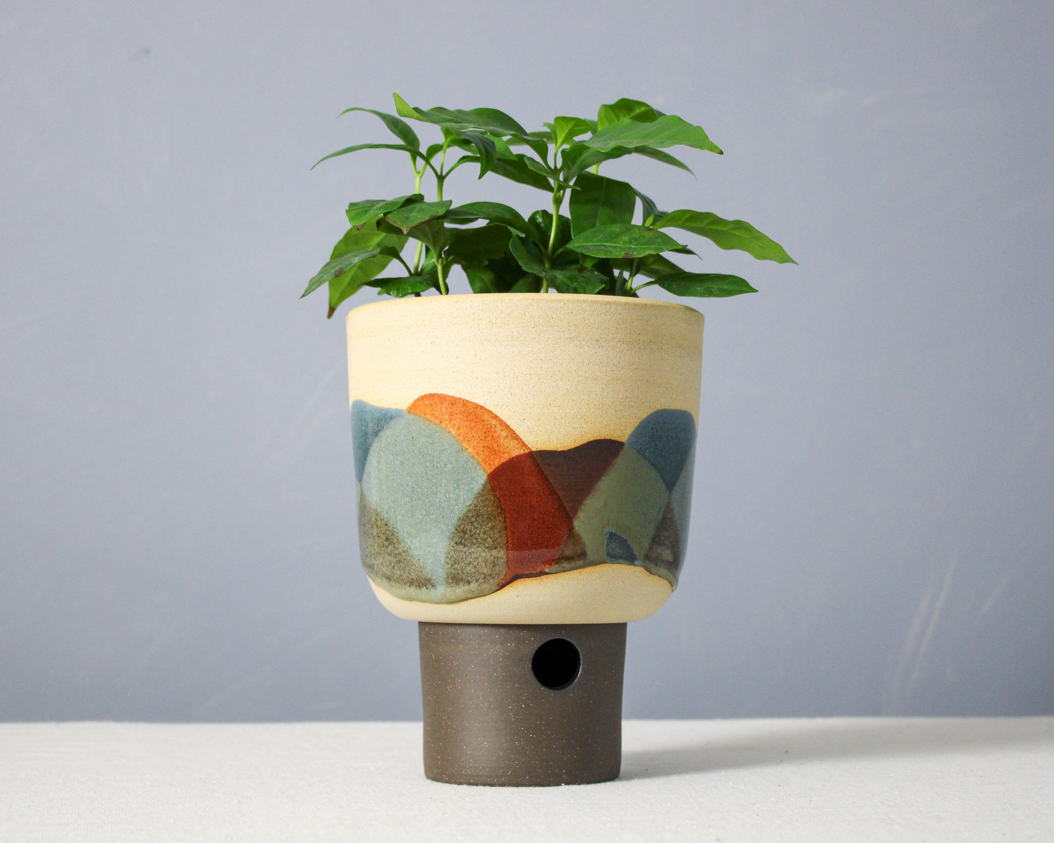 Landscape - Bowl - Medium