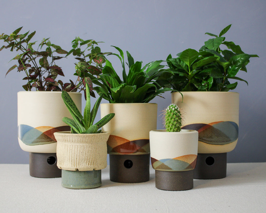 Landscape - Cylinder - Medium