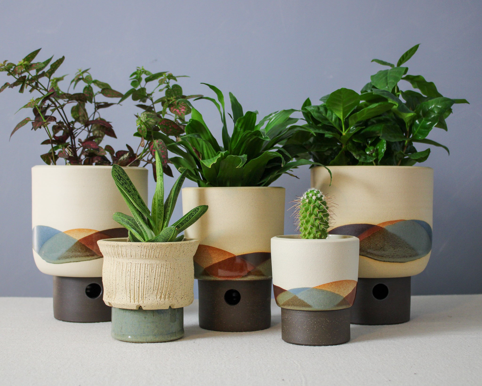 Landscape - Bowl - Large
