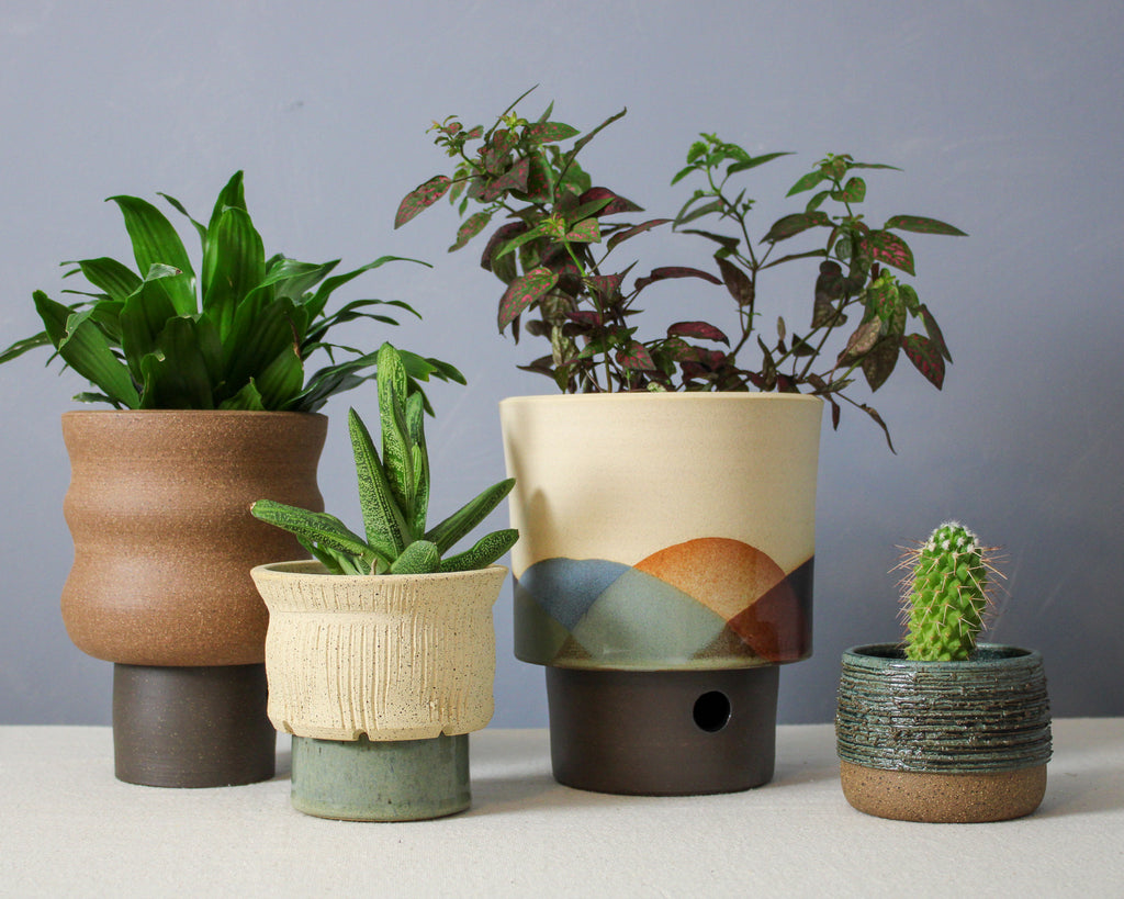 Landscape - Cylinder - Large