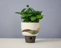 Landscape - Bowl - Large