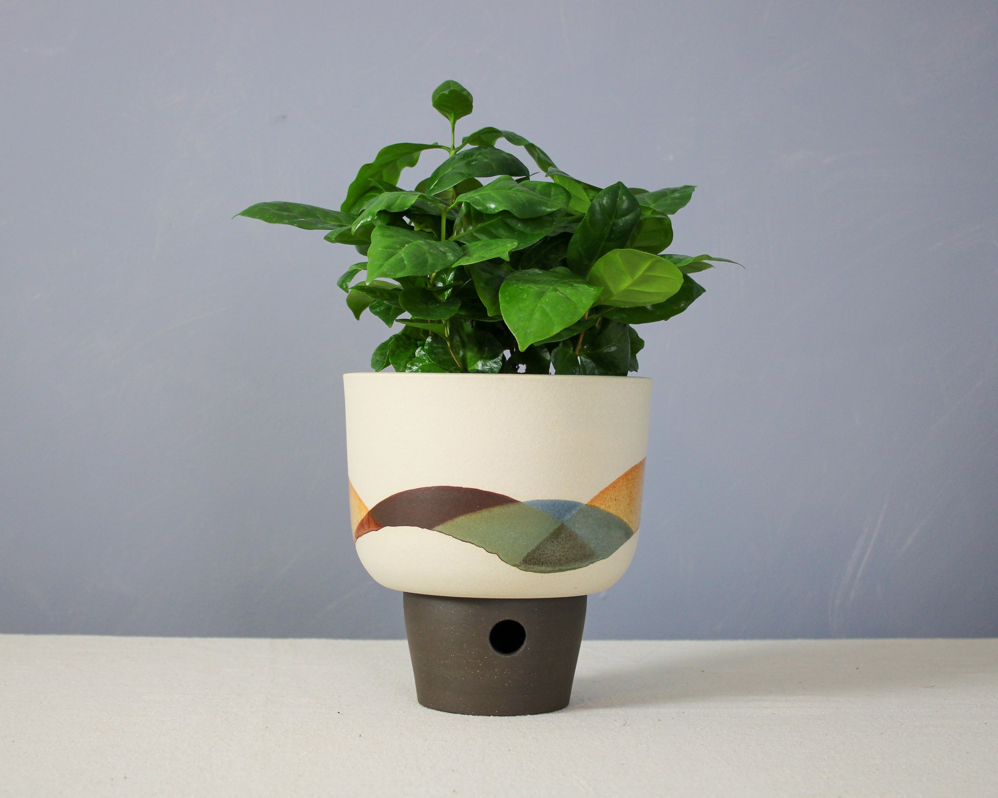 Landscape - Bowl - Large