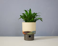 Landscape - Cylinder - Medium