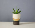 Landscape - Cylinder - Small