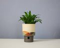 Landscape - Cylinder - Medium