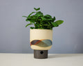 Landscape - Bowl - Large