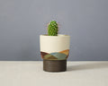 Landscape - Cylinder - Small