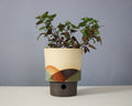 Landscape - Cylinder - Large