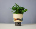 Landscape - Bowl - Large
