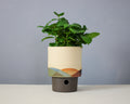 Landscape - Cylinder - Large