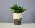 Landscape - Cylinder - Large