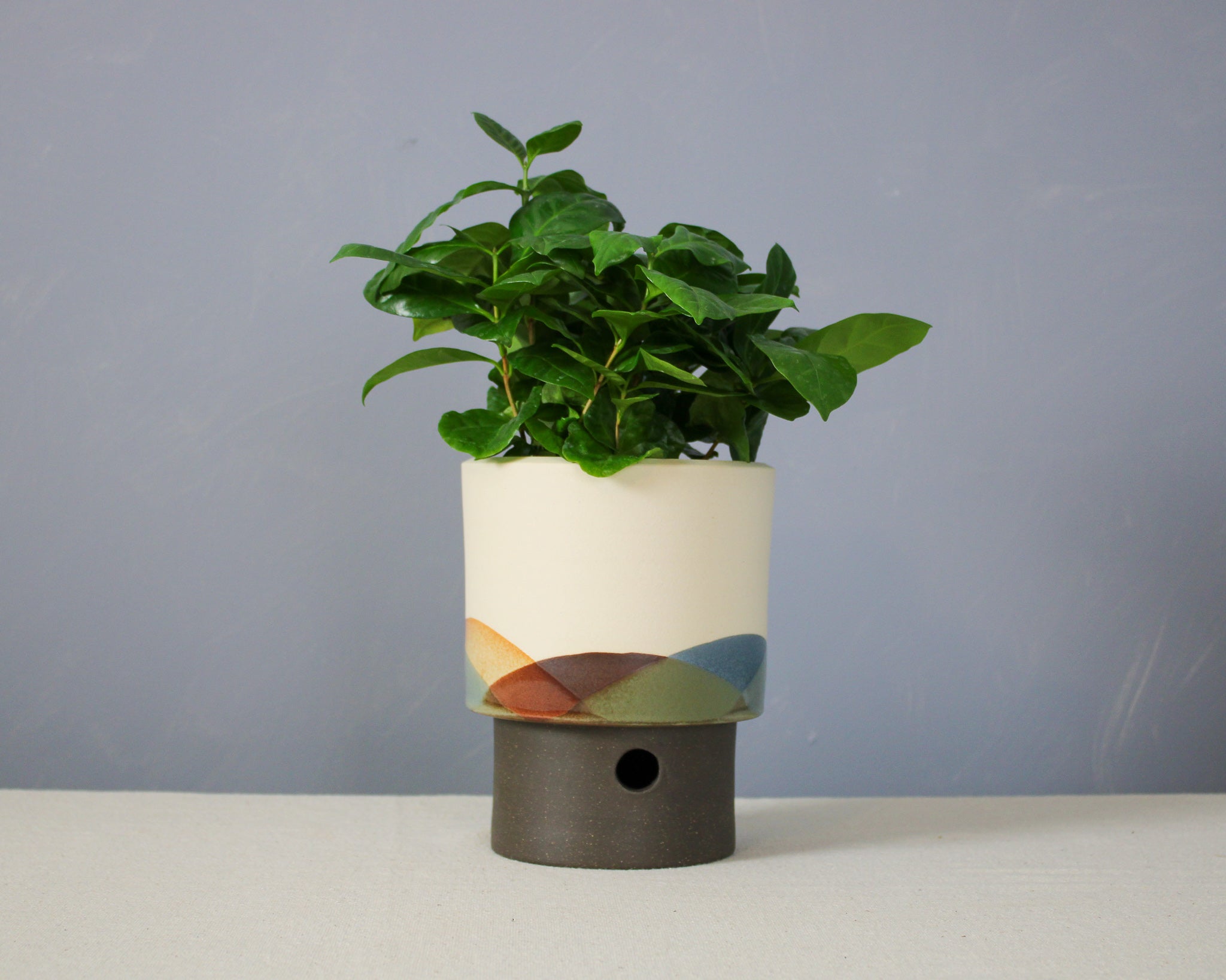 Landscape - Cylinder - Large