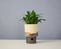 Landscape - Cylinder - Medium