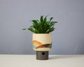 Landscape - Bowl - Medium