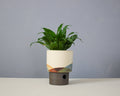Landscape - Cylinder - Medium